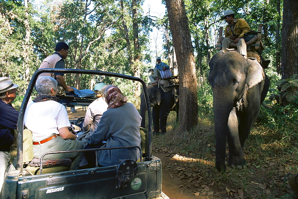 Tourists tiger spotting, Kanha National Park, Madhya Pradesh state, India, Asia