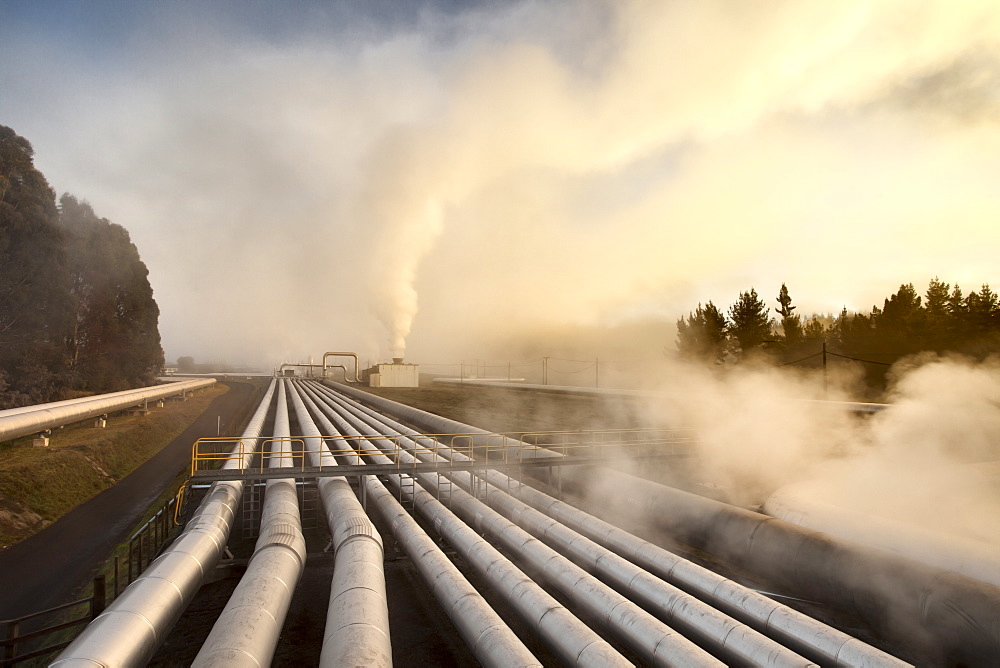 Steam rising off hot geothermal pipes at dawn, Wairakei Steam Field, Taupo, North Island, New Zealand, Pacific