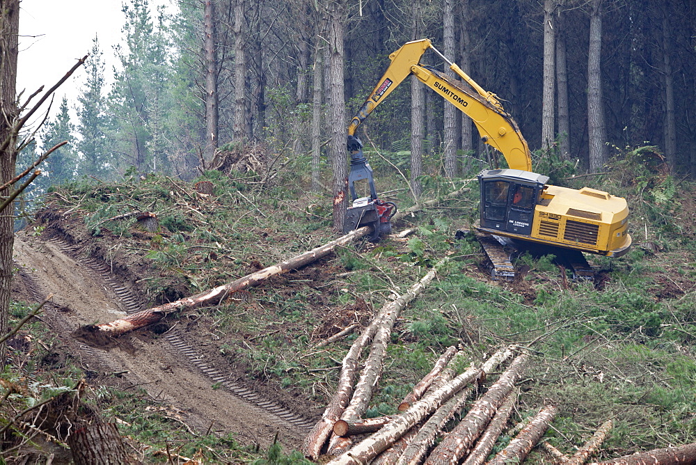 Forestry felling machine,Waikato, North Island, New Zealand, Pacific