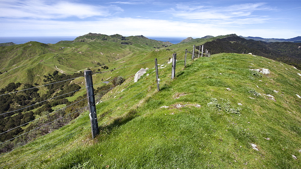 Farmland on the Tora Coastal Walkway, Wairarapa, North Island, New Zealand, Pacific