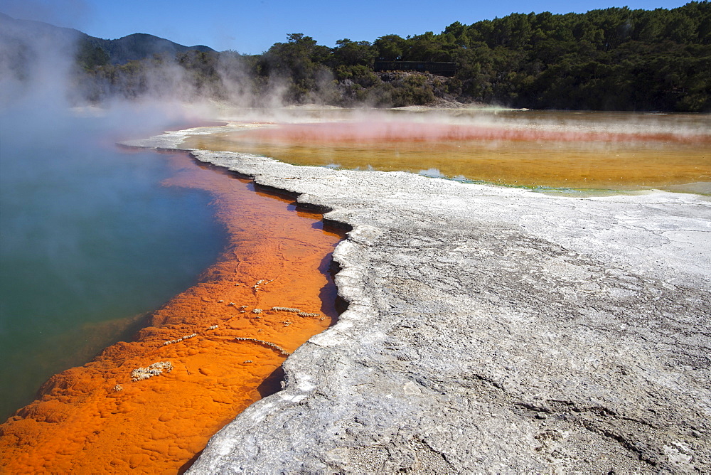 Champagne Pool, hot springs, Waiotapu Goethermal Wonderland, Rotorua, New Zealand, Oceania