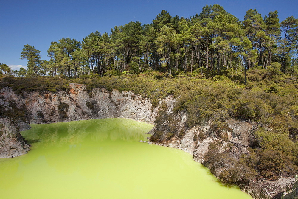 The Devil's Bath, Waiotapu Goethermal Wonderland, Rotorua, New Zealand, Oceania