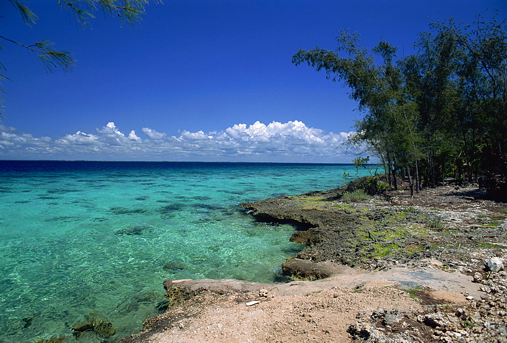 Fringing reef, Bahia de Cochinos (Bay of Pigs), Cuba, West Indies, Central America