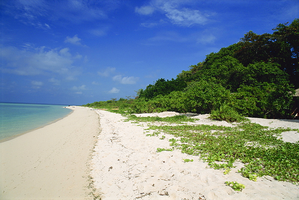 Pulau Sangalakki beach at the Hidden Divers resort, Kalimantan, Borneo, Indonesia, Asia