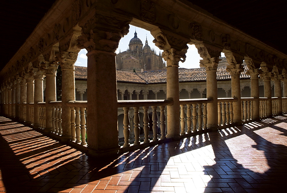 Cathedral viewed from the cloisters of Las Duenas Convent, Salamanca, Castile Leon, Spain, Europe