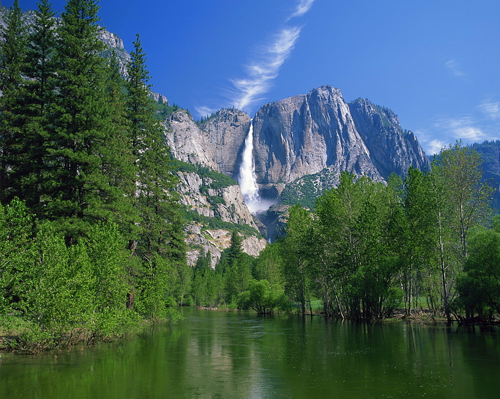 The Merced River swollen by summer snowmelt, with the Yosemite Falls in the background, in the Yosemite National Park, UNESCO World Heritage Site, California, United States of America, North America