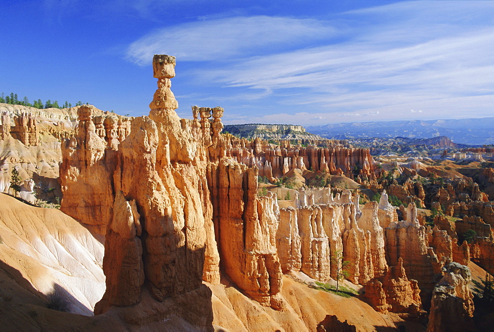 Thor's Hammer from the Navajo Loop Trail, Bryce Canyon National Park, Utah, USA