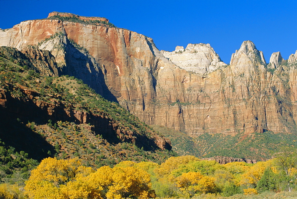 The Towers of the Virgin, Zion National Park, Utah, USA