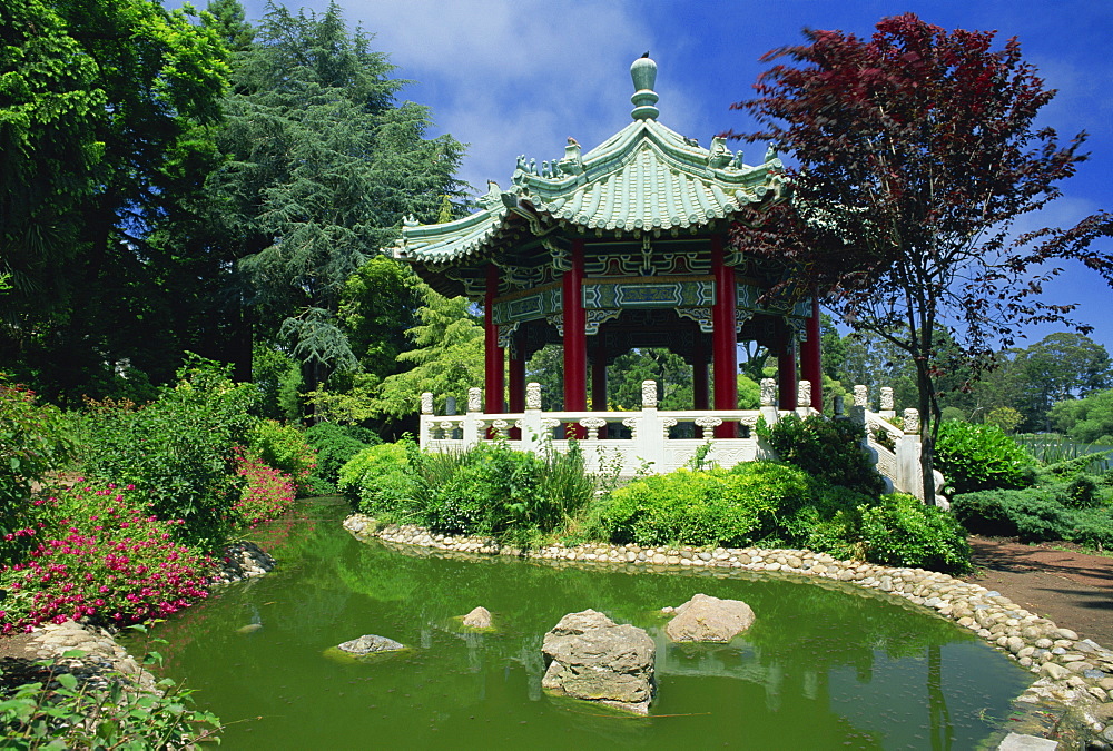 Chinese pavilion by a pond in the Golden Gate Park in San Francisco, California, United States of America, North America