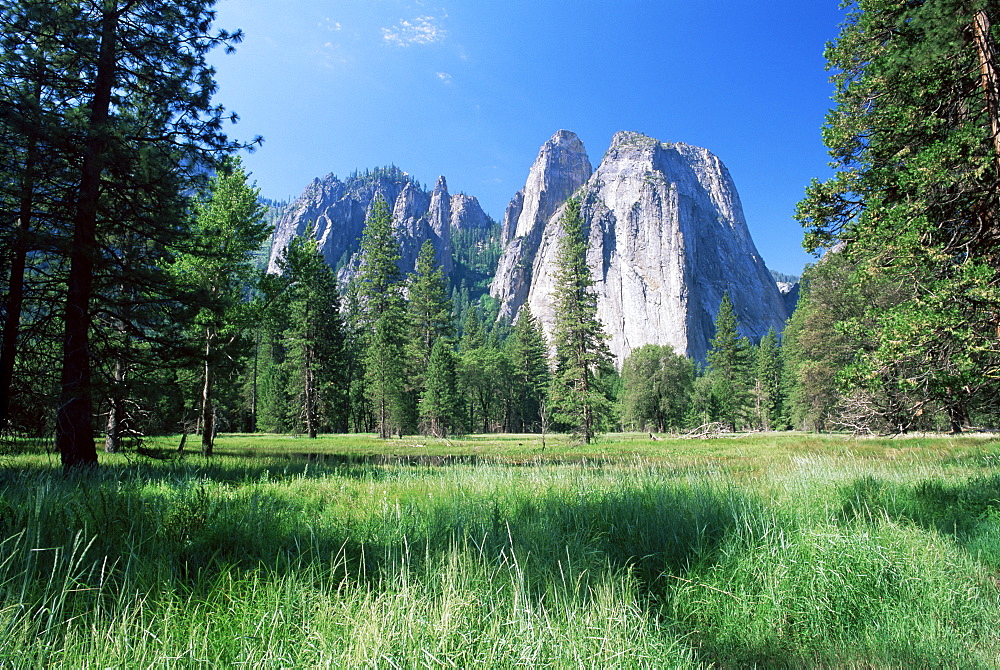 View across meadows to Cathedral Rocks, Yosemite National Park, UNESCO World Heritage Site, California, United States of America, North America