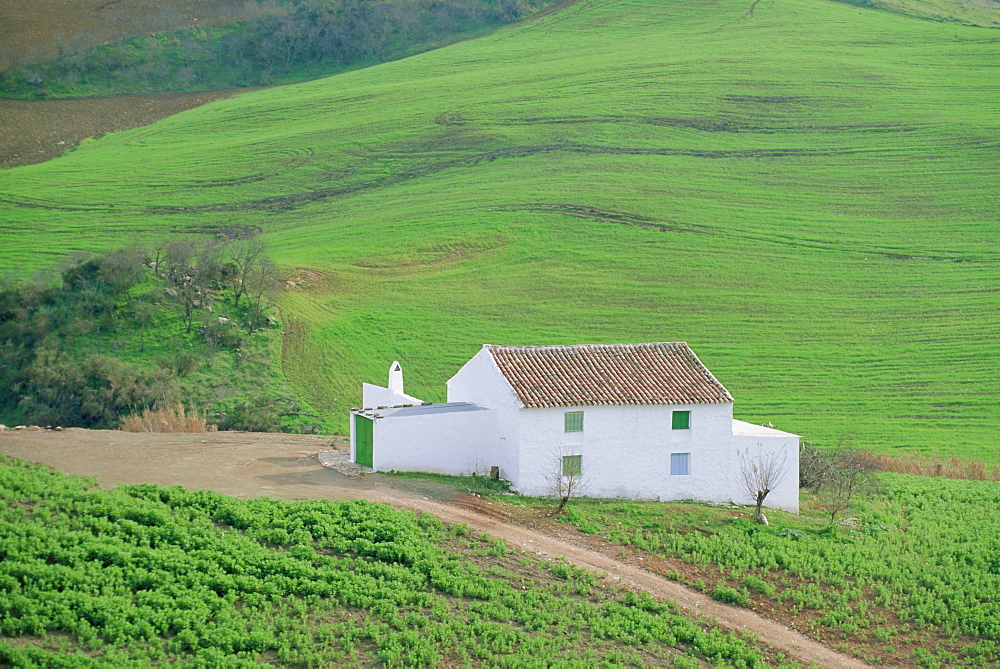 White house in verdant landscape, near Antequera, Malaga, Andalucia (Andalusia), Spain, Europe