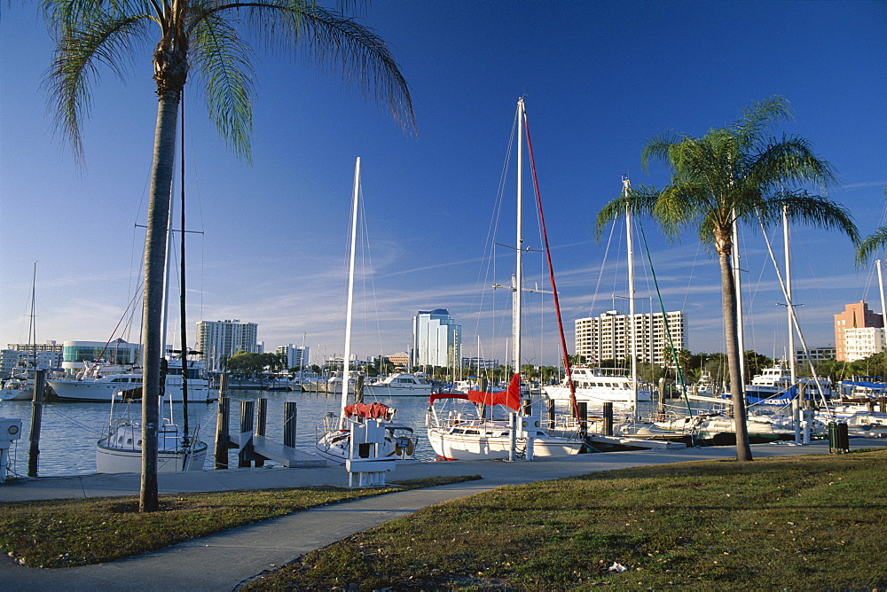 Sarasota Marina from Island Park, Sarasota, Florida, United States of America (U.S.A.), North America