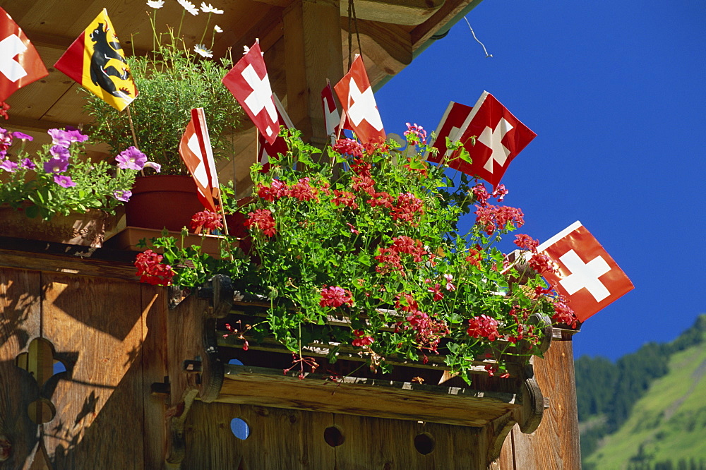 Display of flags to mark Swiss National Day, Lauterbrunnen, Bern, Swizerland, Europe