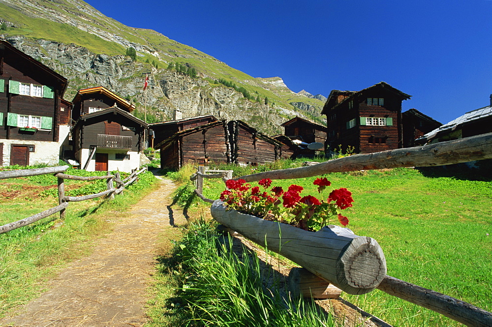 Red geraniums beside path into village, Zum See, Zermatt, Valais, Switzerland, Europe