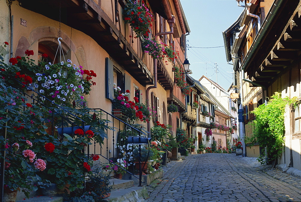 Flower-filled village street, Eguisheim, Haut-Rhin, Alsace, France, Europe