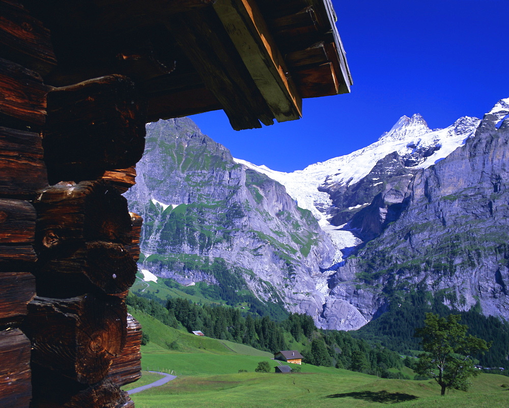 Bort, the Schreckhorn and Upper Grindelwald Glacier framed by hut, Grindelwald, Bernese Oberland, Swiss Alps, Switzerland, Europe