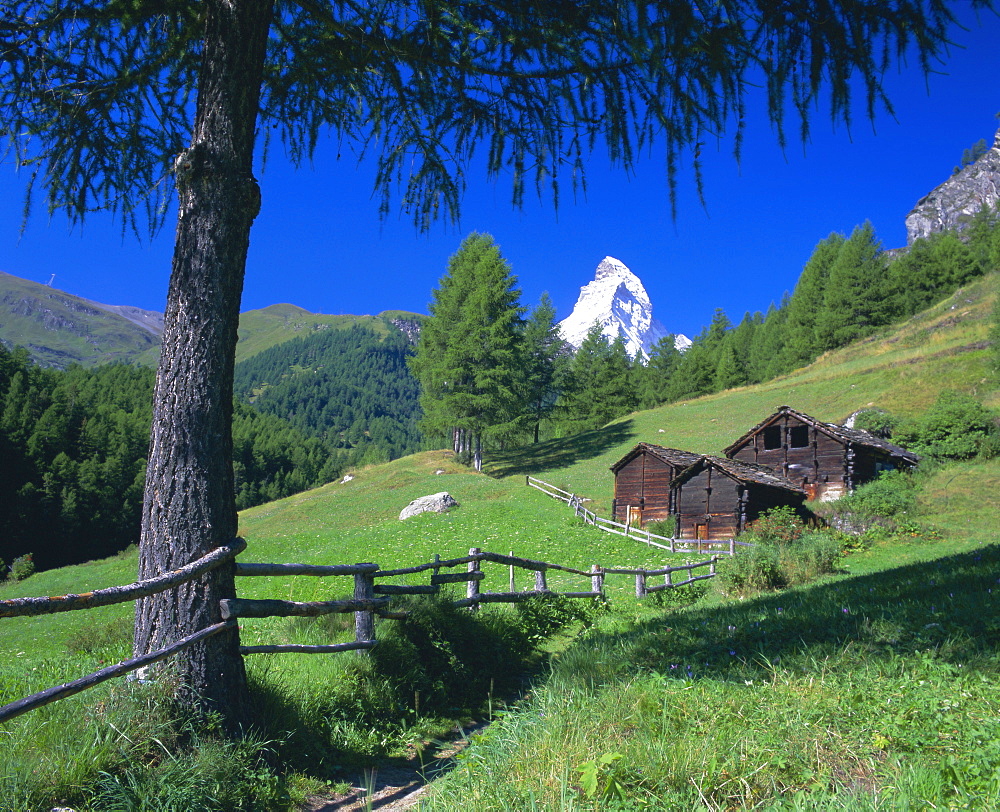 The Matterhorn towering above green pastures and wooden huts, Zermatt, Valais (Wallis), Swiss Alps, Switzerland, Europe