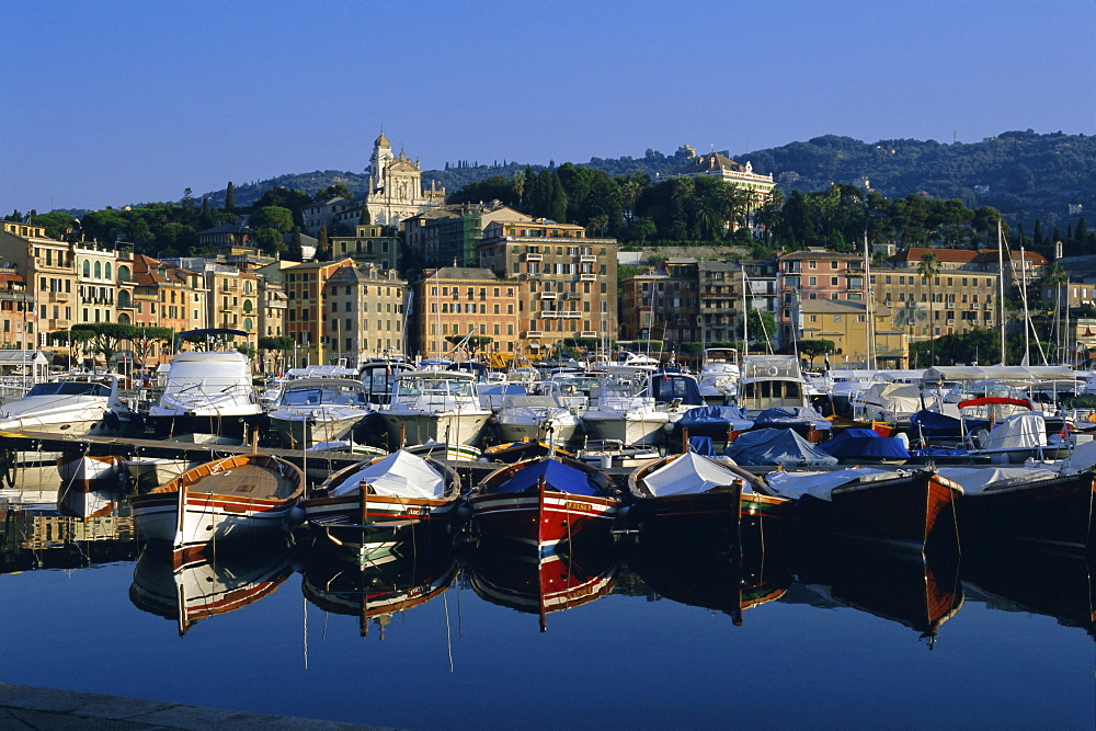 View across the harbour, Santa Margherita Ligure, Portofino Peninsula, Liguria, Italy, Europe