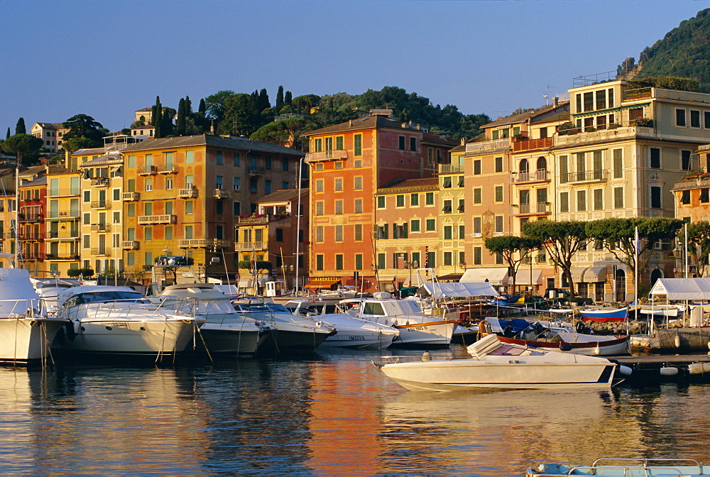 View across the harbour at sunrise, Santa Margherita Ligure, Portofino Peninsula, Liguria, Italy, Europe