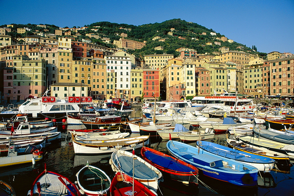 The harbour, Camogli, Portofino Peninsula, Liguria, Italy 