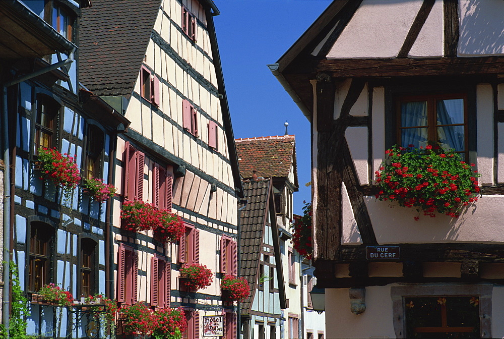 Colourful timbered houses, Riquewihr, Haut-Rhin, Alsace, France, Europe