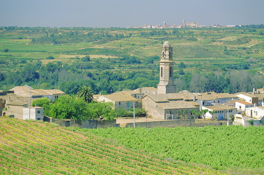 View to village across agricultural land, Montferri, Tarragona, Catalonia (Cataluna) (Catalunya), Spain, Europe