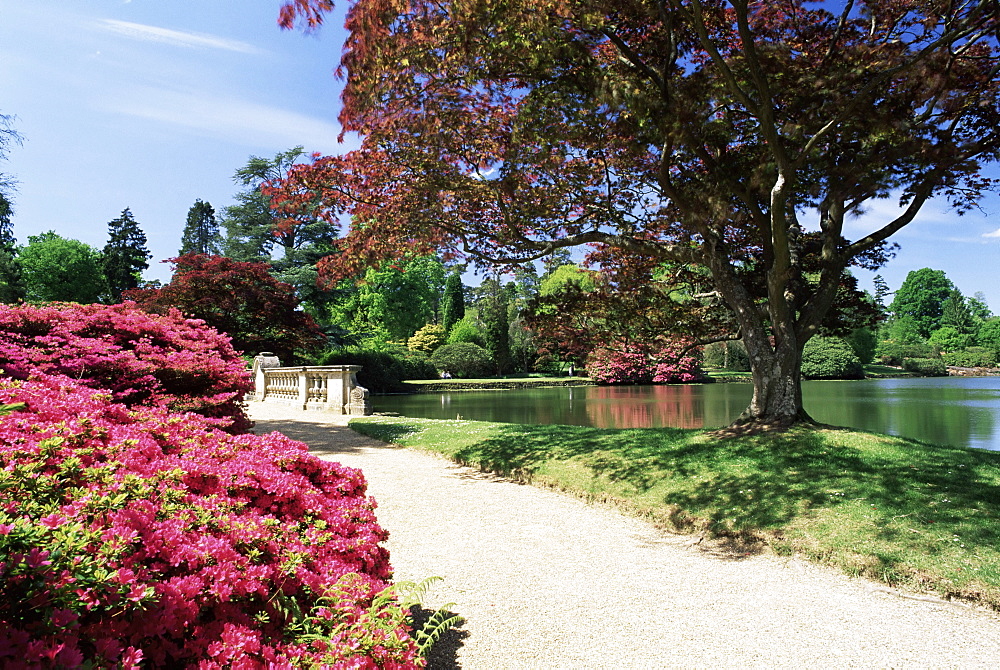 Path on bank of Ten Foot Pond, Sheffield Park Garden, East Sussex, England, United Kingdom, Europe