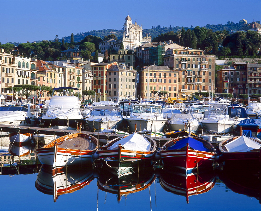 View across the harbour, Santa Margherita Ligure, Portofino Peninsula, Liguria, Italy 