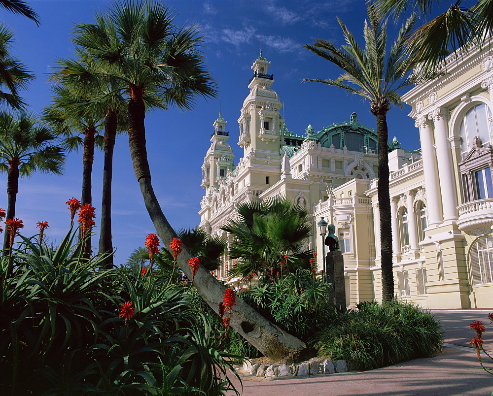 The Casino from the south terrace, palms and flowers in foreground, Monte Carlo, Monaco, Europe