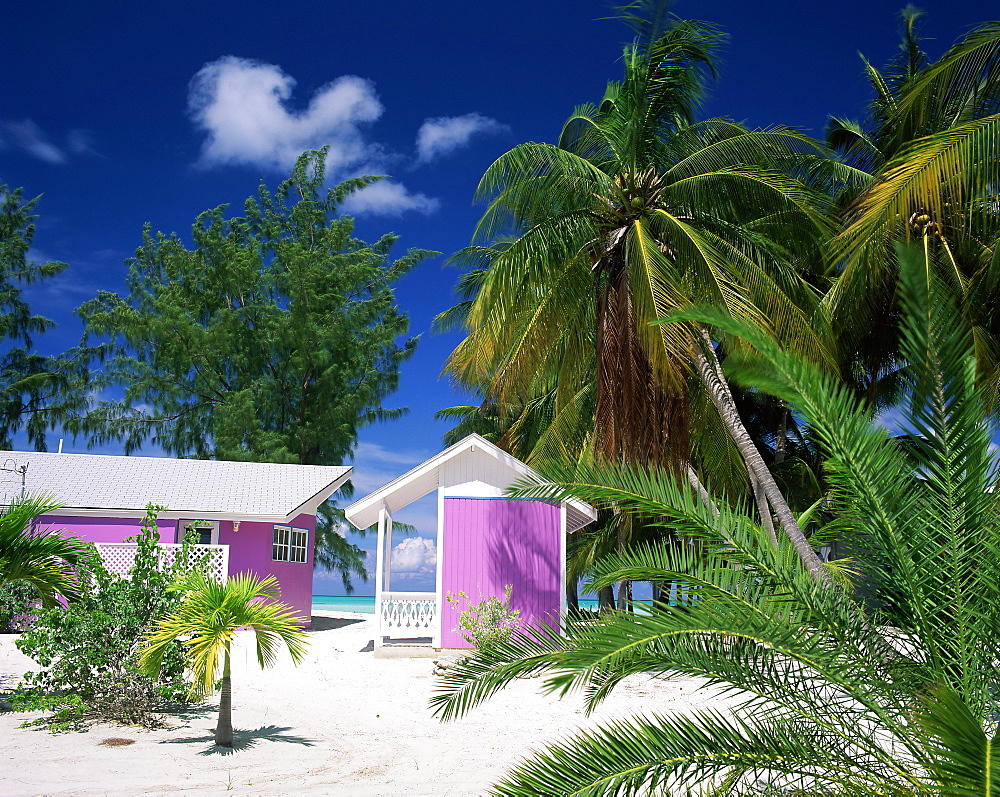 Colourful beach hut beneath palm trees, Rum Point, Grand Cayman, Cayman Islands, West Indies, Caribbean, Central America