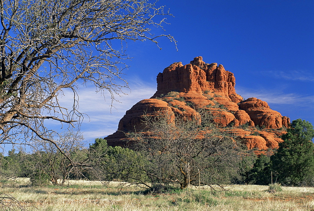 View to Bell Rock, considered a vortex by New Age metaphysicists, in early morning light, Sedona, Arizona, United States of America (U.S.A.), North America