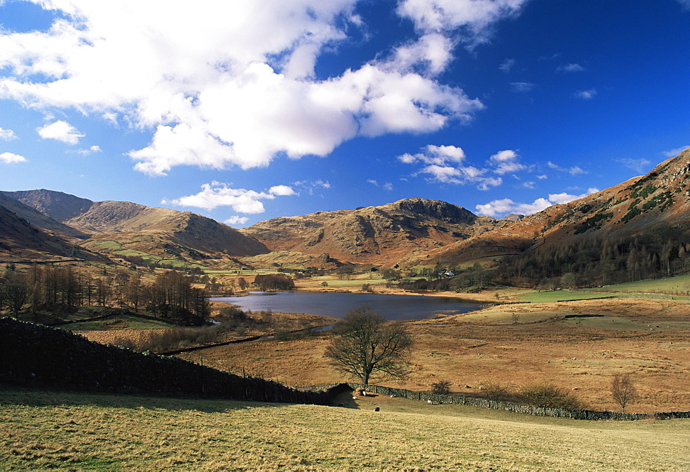 View to west across Little Langdale Tarn, Little Langdale, Lake District National Park, Cumbria, England, United Kingdom (U.K.), Europe