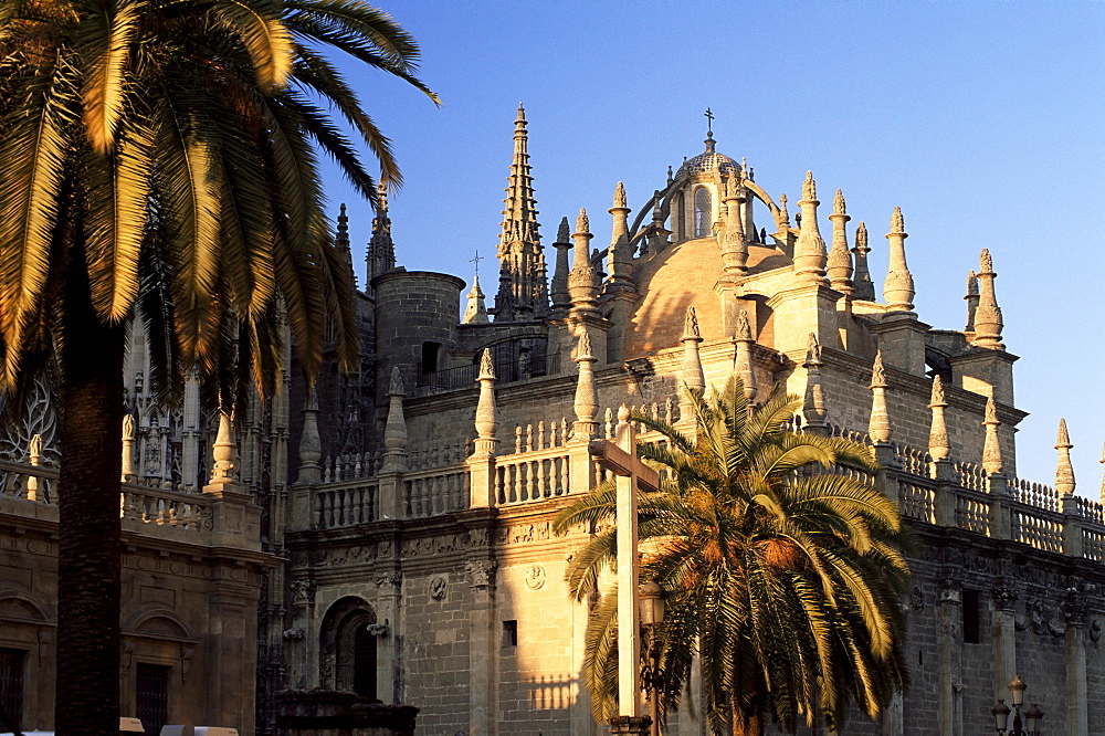 The cathedral and palms at sunset, Seville, Andalucia (Andalusia), Spain, Europe