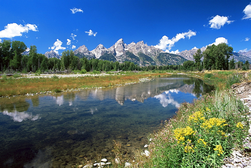 View from Schwabacher's Landing across the Snake River to the Teton Range, Grand Teton National Park, Wyoming, United States of America, North America