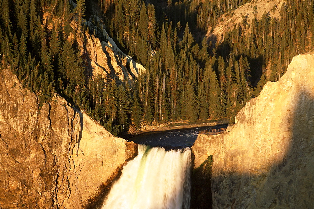 Top of the Lower Falls from Lookout Point at sunrise, Grand Canyon of the Yellowstone, Yellowstone National Park, UNESCO World Heritage Site, Wyoming, United States of America, North America