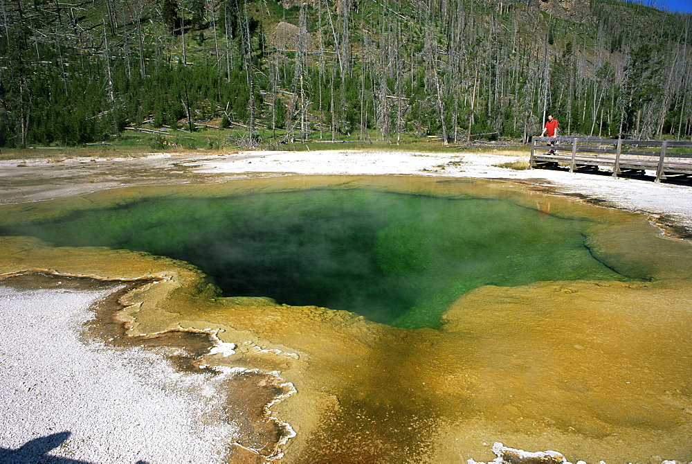 Emerald Pool, Black Sand Basin, Yellowstone National Park, UNESCO World Heritage Site, Wyoming, United States of America, North America