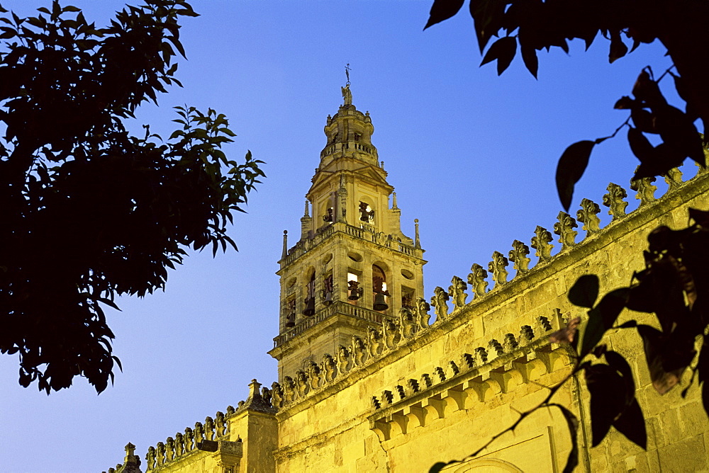 Bell tower of the Mezquita illuminated at night, Torre del Alminar, Cordoba, Andalusia (Andalucia), Spain, Europe