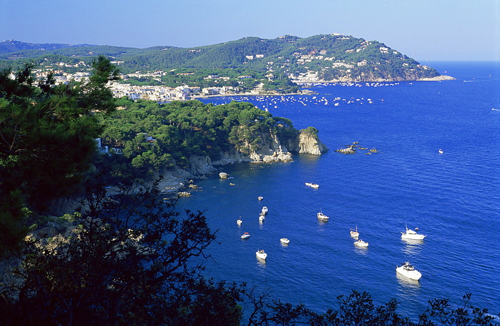 View to the north along the coast from Cap Roig Botanical Gardens, Calella de Palafrugell, Costa Brava, Gerona, Cataluna, Spain, Europe