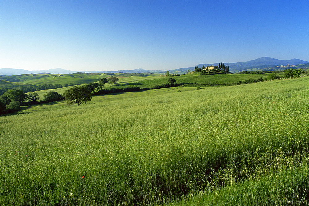 Val d'Orcia (Orcia Valley), San Quirico d'Orcia, Tuscany, Italy, Europe