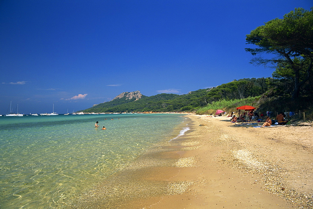 View along the Plage Notre Dame, Ile de Porquerolles, near Hyeres, Var, Cote d'Azur, Provence, France, Mediterranean, Europe