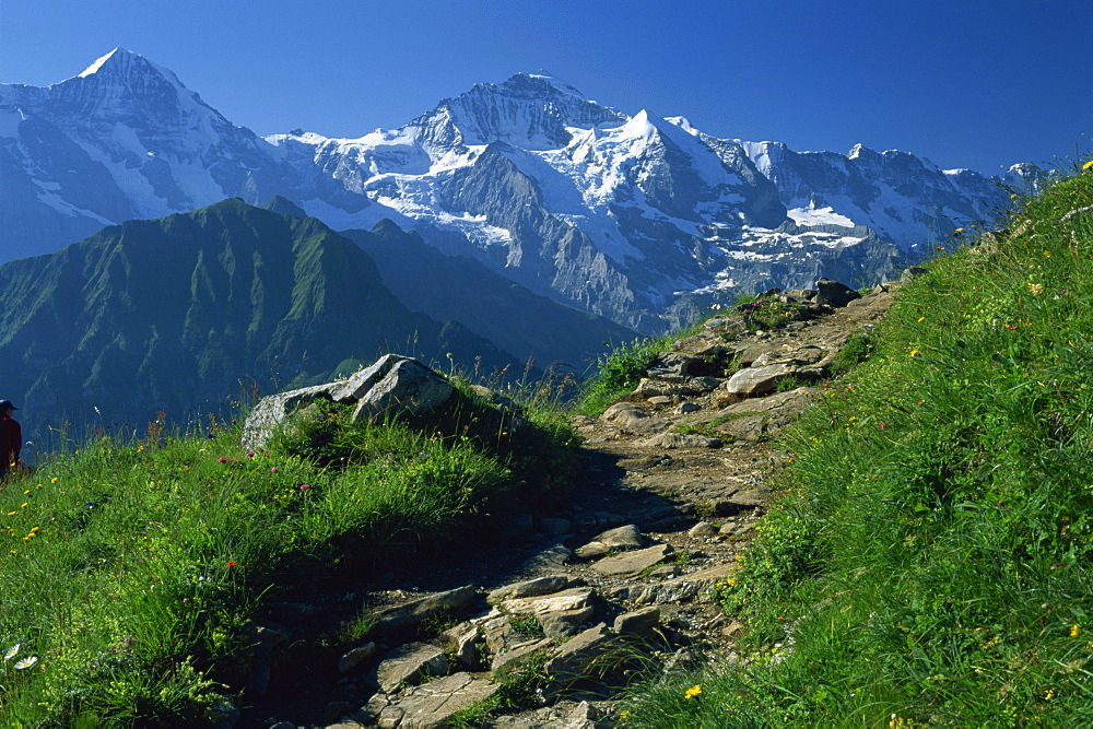 View along path to snow covered summit of the Jungfrau, Schynige Platte, near Interlaken, Bern, Switzerland, Europe