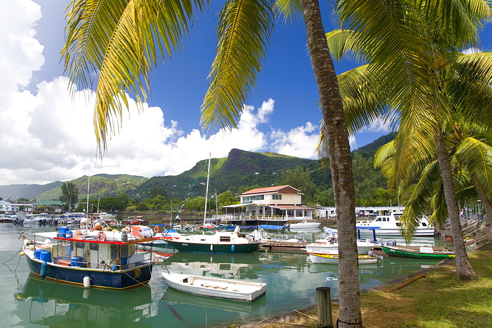 The colourful palm-lined harbour, Victoria, Island of Mahe, Seychelles, Indian Ocean, Africa