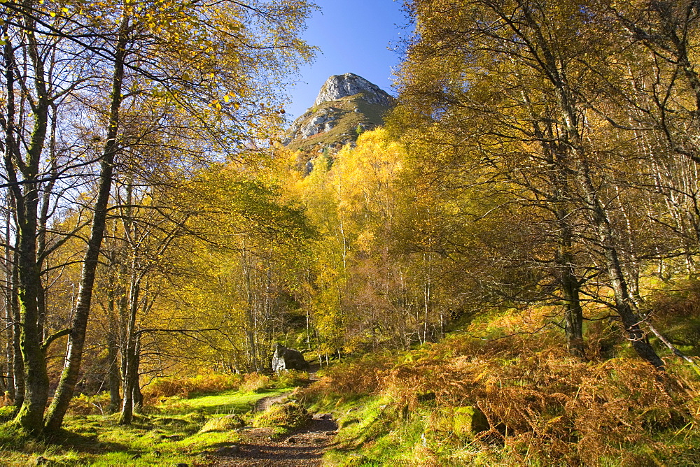 Autumn view along path to the summit of Ben A'an, near Aberfoyle, Loch Lomond and the Trossachs National Park, Stirling, Scotland, United Kingdom, Europe