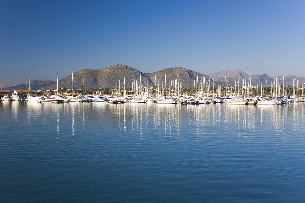 View across the harbour Port d'Alcudia, Mallorca, Balearic Islands, Spain, Mediterranean, Europe