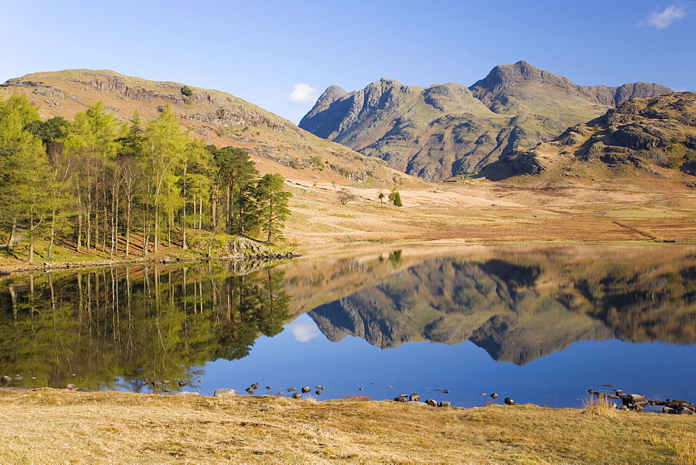 The Langdale Pikes reflected in Blea Tarn, above Little Langdale, Lake District National Park, Cumbria, England, United Kingdom, Europe