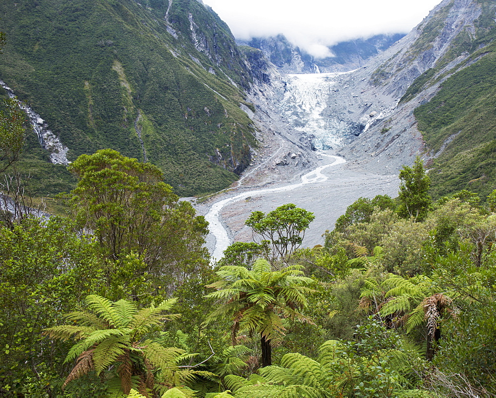 View to the Fox Glacier from the Chalet Lookout Track, Fox Glacier, Westland Tai Poutini National Park, UNESCO World Heritage Site, West Coast, South Island, New Zealand, Pacific