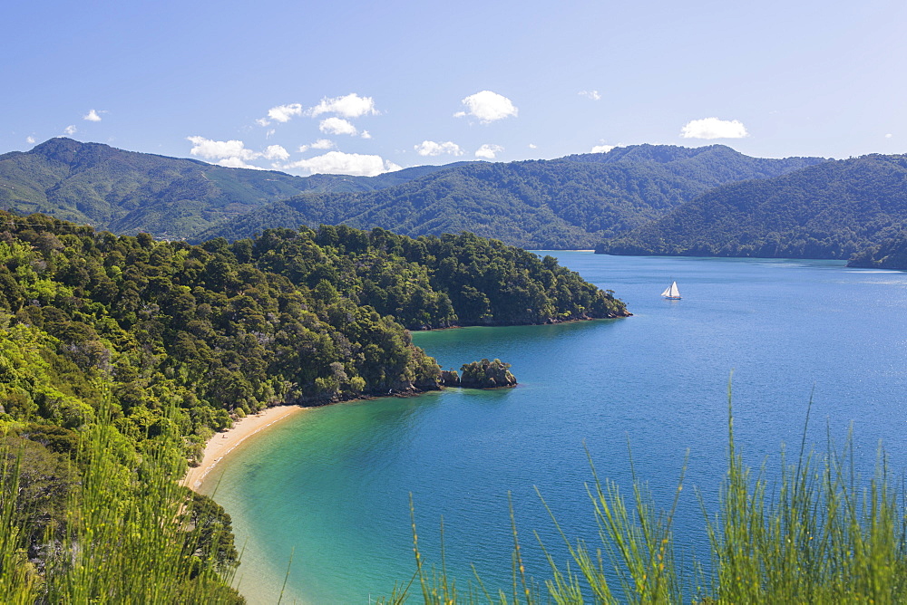 View over Governors Bay and Grove Arm, Queen Charlotte Sound (Marlborough Sounds), near Picton, Marlborough, South Island, New Zealand, Pacific