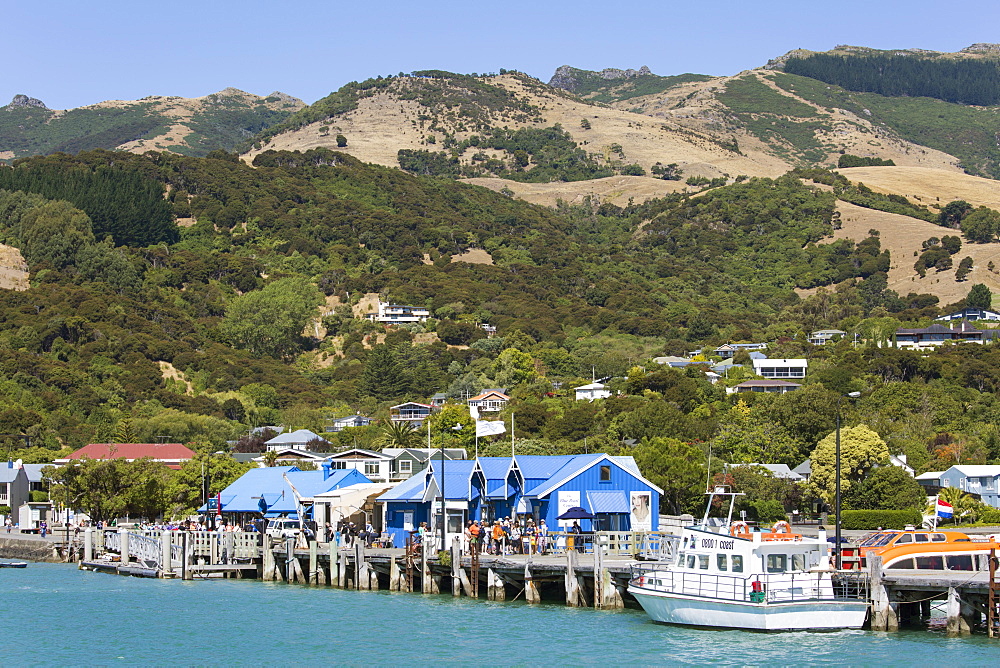 View from Akaroa Harbour to the Main Wharf, Akaroa, Banks Peninsula, Canterbury, South Island, New Zealand, Pacific