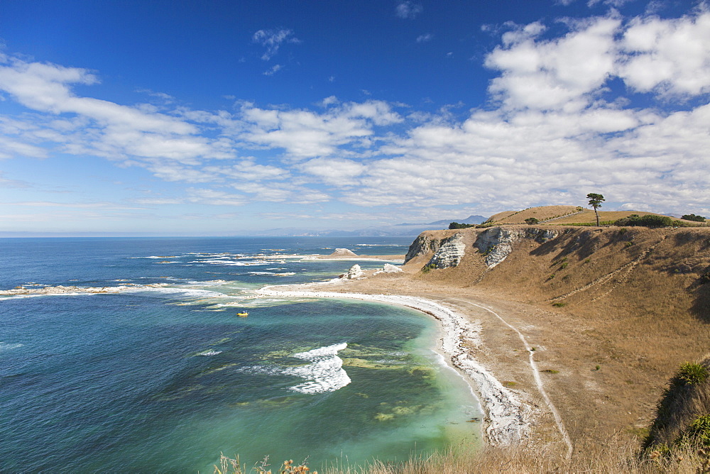 View over the coastline of the Kaikoura Peninsula from the Kaikoura Peninsula Walkway, Kaikoura, Canterbury, South Island, New Zealand, Pacific