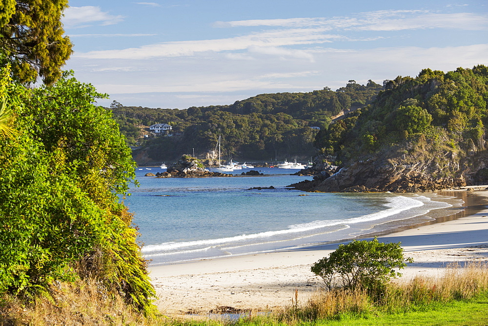 View over Butterfield Beach, Halfmoon Bay, Oban, Stewart Island, Southland, South Island, New Zealand, Pacific